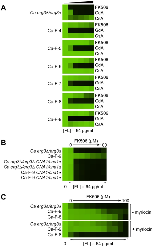 Six <i>C. albicans</i> lineages evolved with azole and FK506 share the same cross-resistance profile, and a mutation in <i>CNA1</i> and <i>LCB1</i> confers resistance.