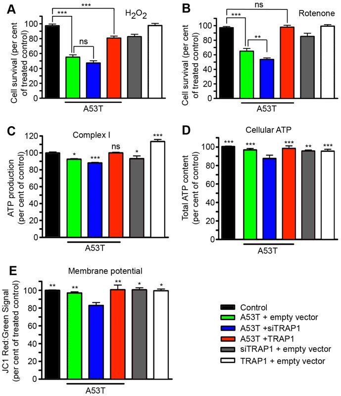 Alterations in TRAP1 levels influence [A53T]α-Synuclein-induced sensitivity to oxidative stress and mitochondrial effects in HEK293 cells.