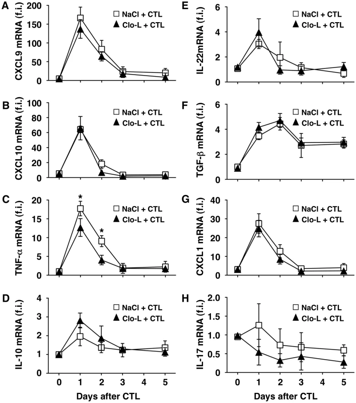 Clo-L treatment does not affect the hepatic gene expression of CXCL9, CXCL10, IL-10, IL-22, TGF-β, CXCL1 or IL-17 but reduces that of TNF-α.