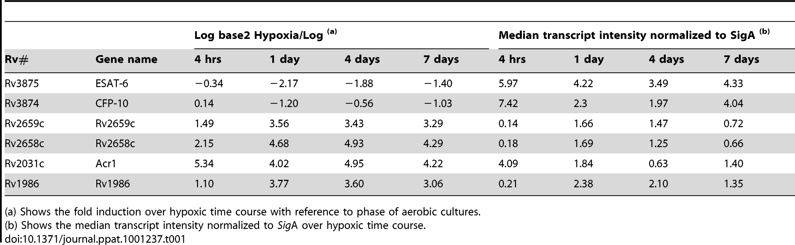 <i>M. tuberculosis</i> transcript levels in bacilli exposed to 7 days hypoxia <i>in vitro.</i>