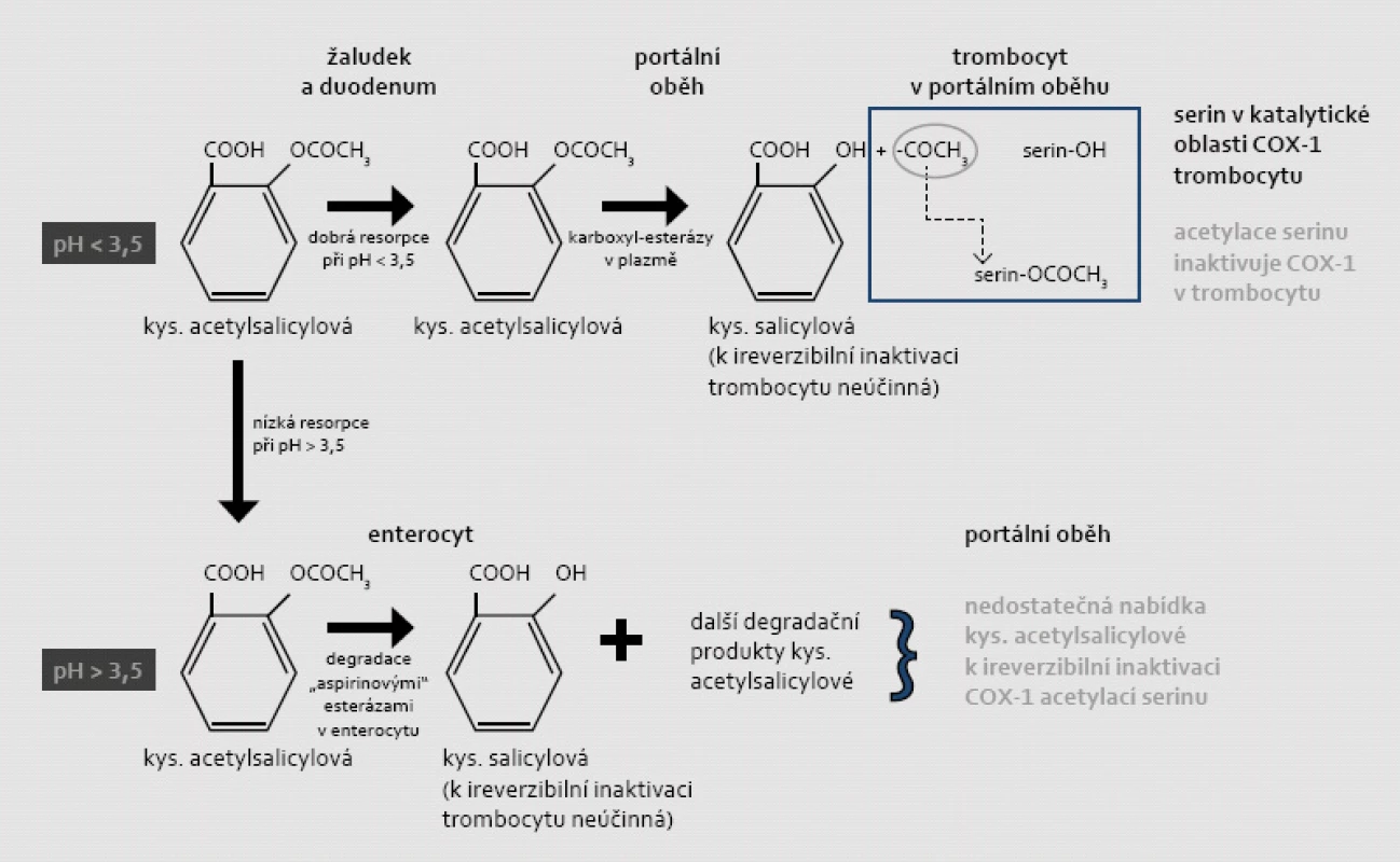 Mechanizmus ireverzibilní inaktivace COX-1 v trombocytu a závislosti tohoto procesu na vstřebávání a degradaci kyseliny acetylsalicylové v žaludku či ve střevě (při různém pH). Acetylsalicylová kyselina jako slabá hydrofilní kyselina se vstřebává zejména v nedisociovaném stavu. Při hodnotě disociační konstanty pKa = 3,5 se ASA spolehlivě resorbuje v kyselém prostředí (při pH &lt; 3,5), tj. v žaludku či v proximálním duodenu. Není-li kyselina acetylsalicylová vstřebána v žaludku, je ve střevě deacetylována „aspirinovými“ esterázami na kyselinu salicylovou (lipofilní molekulu),  která se již dobře resorbuje ve střevě. Salicylová kyselina také snižuje aktivitu COX-1 a COX-2, ale tato inhibice je jen krátkodobá a reverzibilní. Její protidestičkový účinek není doložen. Vzhledem k dominující degradaci ASA ve střevě je resorpce v prostředí pH &gt; 3,5 nepředvídatelná a předpokládá se, že koncentrace v portálním oběhu je pod účinnou hladinou. Za fyziologických podmínek při dostatečné resorpci ASA v kyselém prostředí dochází k acetylaci COX-1 ještě v portálním oběhu; v játrech je totiž rozhodující část ASA degradována na kyselinu salicylovou.
