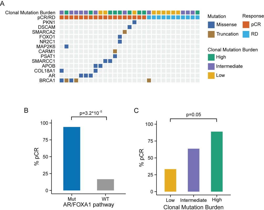 Genomic markers predictive of chemosensitivity in the MDACC triple negative breast cancer dataset.