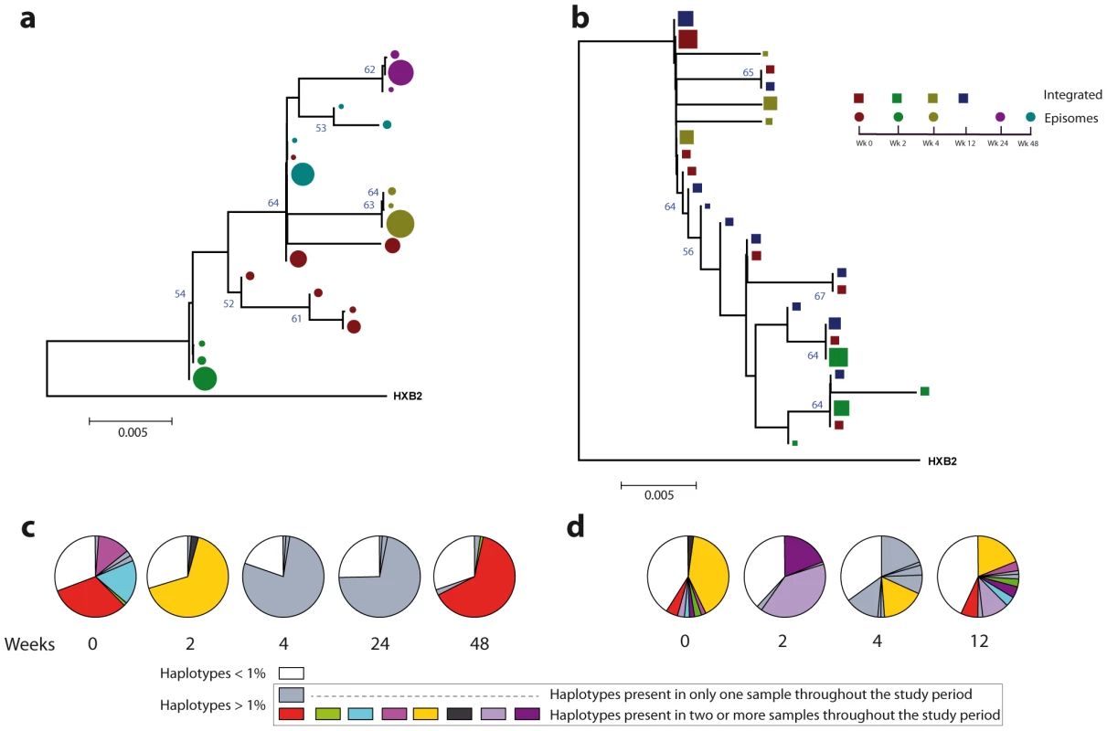 Phylogenetic tree and proportions of episomal and integrated HIV-1 sequences in patient 2.