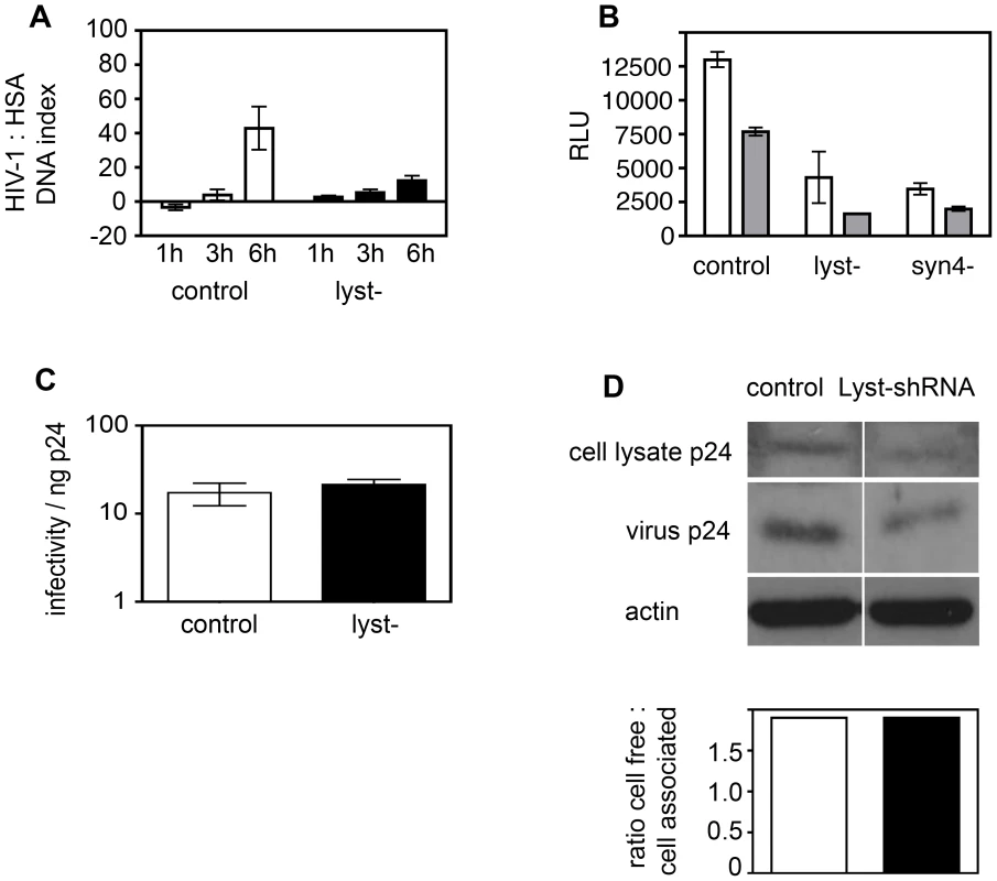 Defects in regulated secretion inhibit cell-to-cell spread of HIV-1.