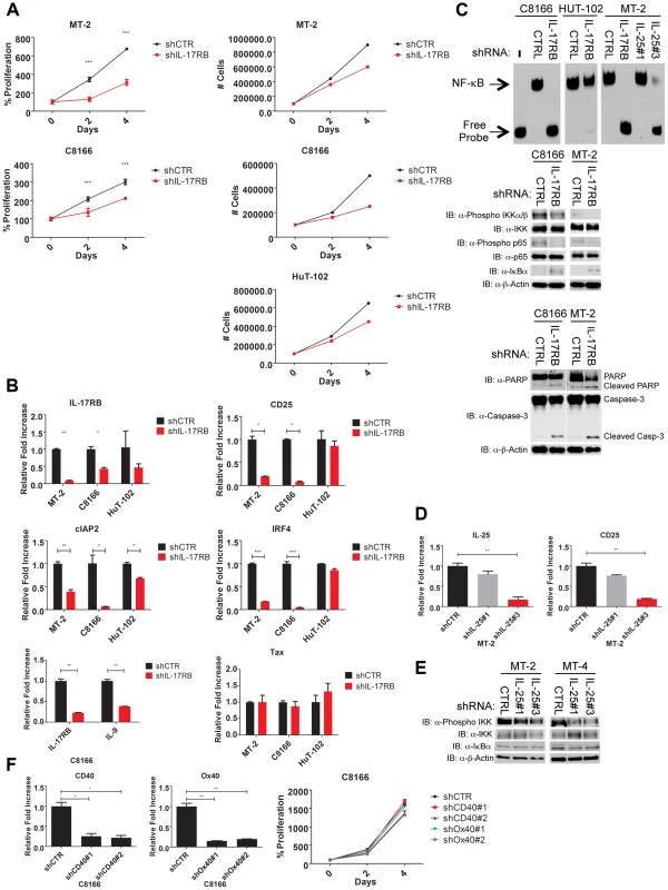 IL-17RB and IL-25 are essential for NF-κB activation and survival of HTLV-1 transformed cells.