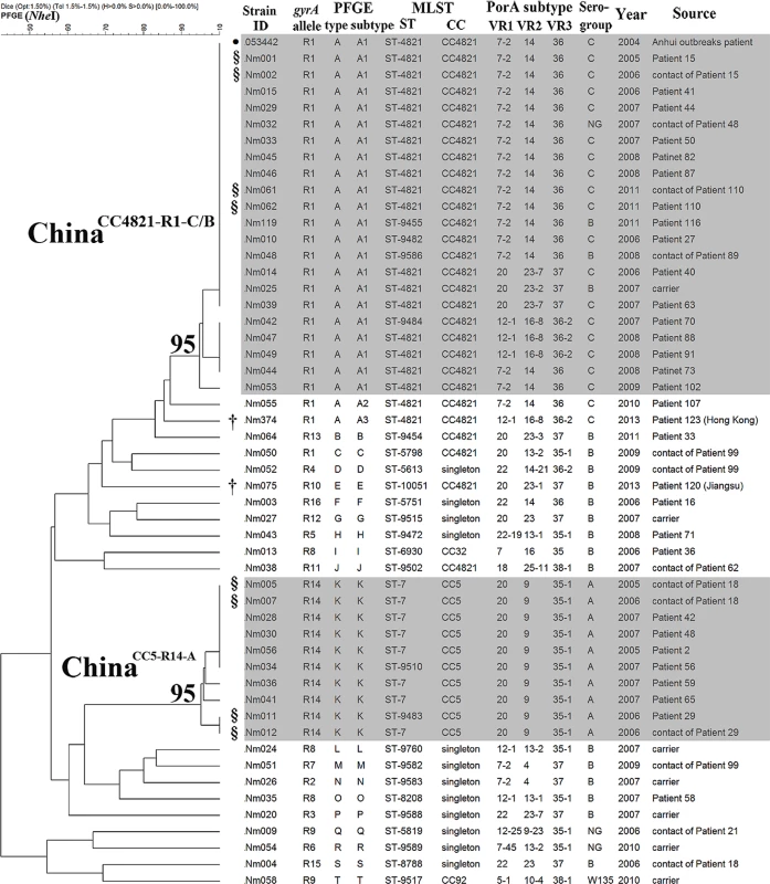 Dendrogram of 51 ciprofloxacin-nonsusceptible <i>N</i>. <i>meningitidis</i> strains from patients and carriers in Shanghai, China, 2005–2013, constructed using pulsed-field gel electrophoresis—NheI.
