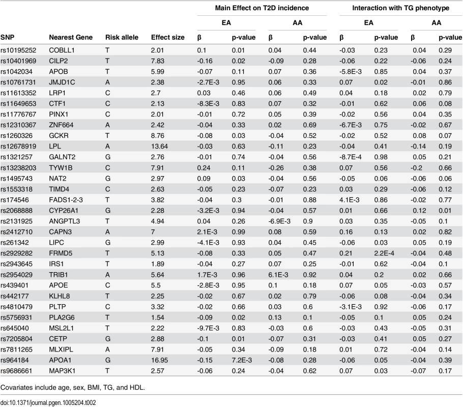 List of 31 triglyceride (TG)-associated SNPs with their respective genomic position, risk allele (TG increasing), TG effect size (weight used in GRS), association with T2D incidence, and interaction with TG phenotype in European- and African-Americans (EA, AA).