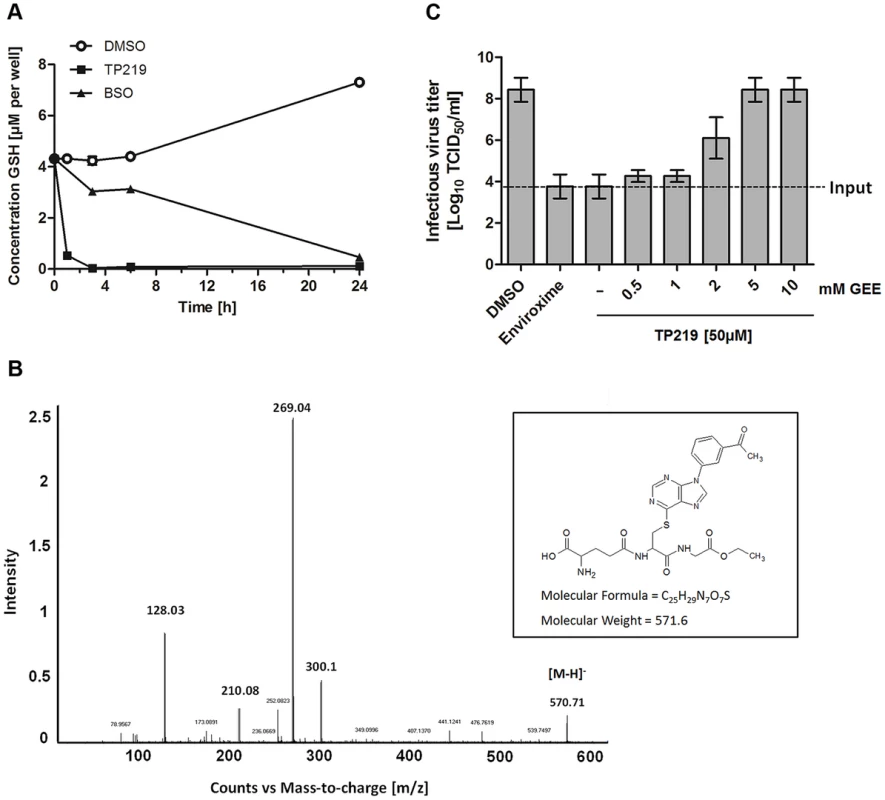 TP219 depletes intracellular GSH levels via a covalent bond.