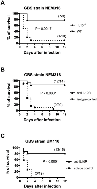 Impairment of IL-10 signaling confers protection to newborn mice against GBS infection.