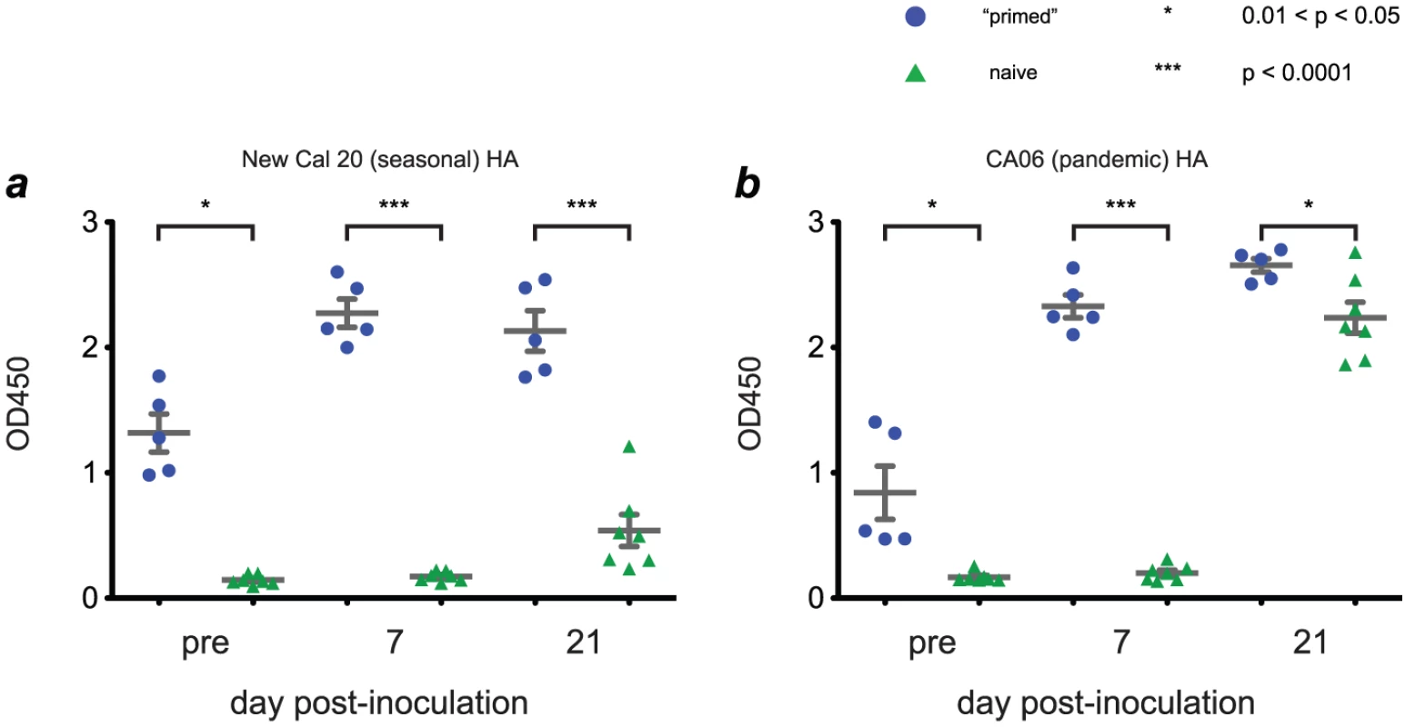 Infection with seasonal influenza viruses induces variable levels of antibody capable of binding H1N1pdm antigens.