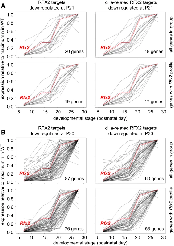 Developmental expression profiles of RFX2 target genes.