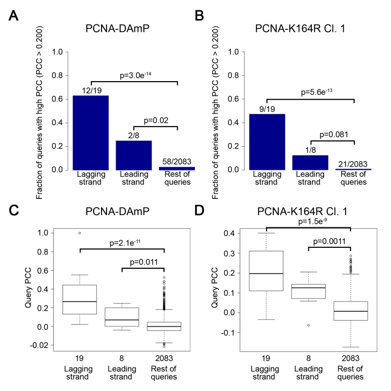 The PCNA-K164R SGA profile strongly resembles lagging strand replication mutant profiles.