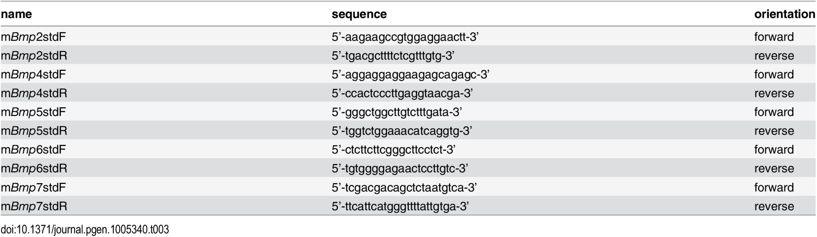 Primers for generating template standards to absolutely quantitate BMP mRNA amounts.