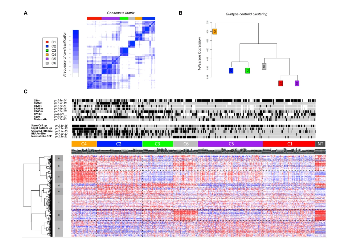 Unsupervised gene expression analysis of the discovery set of 443 colon cancers.