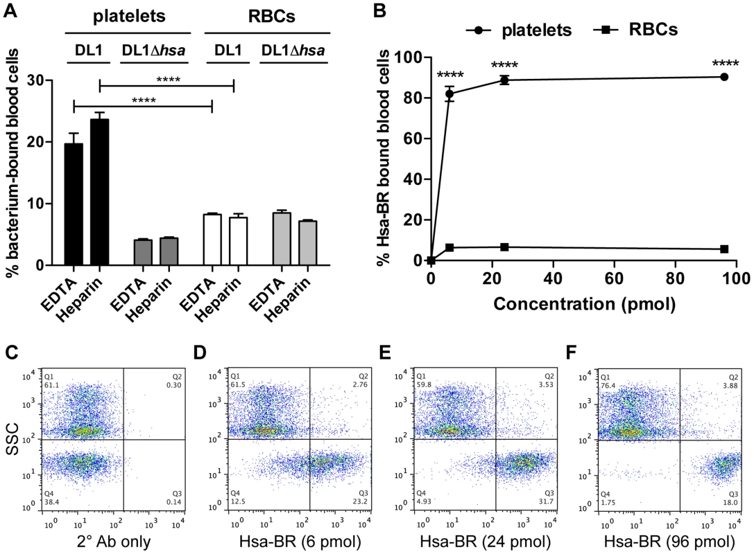 Divalent cation effect on bacterial binding and preferential recognition of platelets over RBCs by Hsa-BR in whole blood.