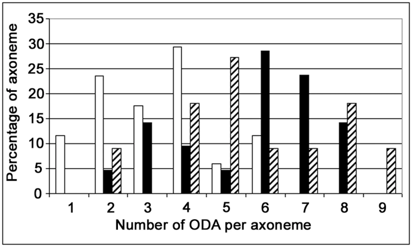 Distribution of the number of ODA per axoneme in <i>DNAI1–mutated</i> infected HAECs.