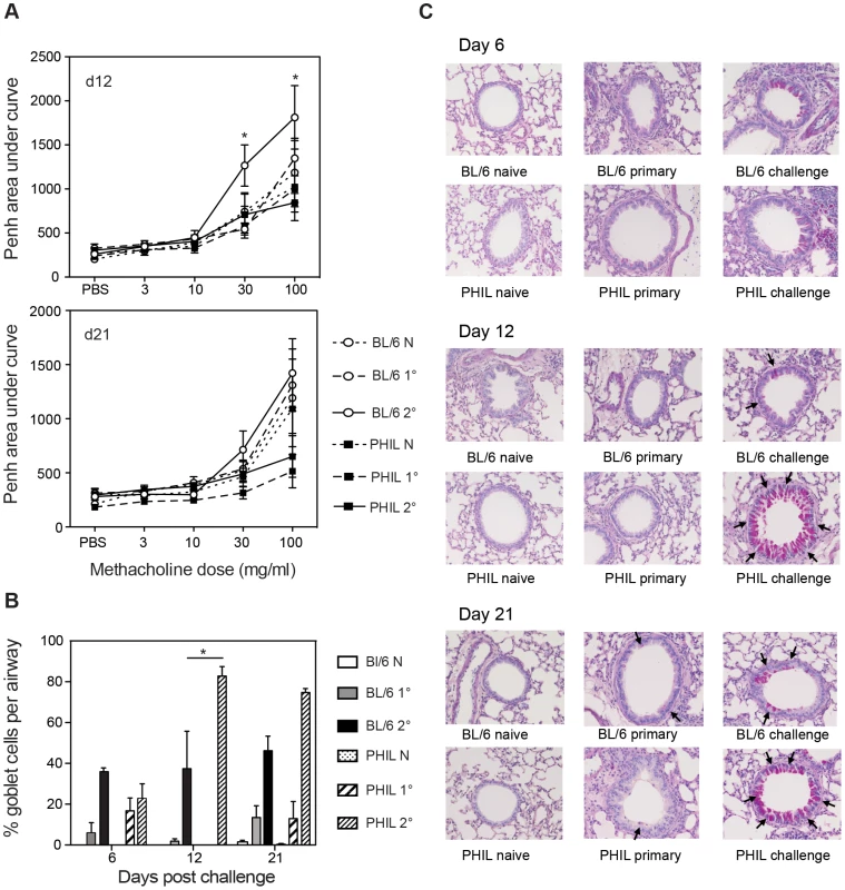 Lung function and levels of mucus-secreting goblet cells in eosinophil-less mice given <i>B. malayi</i> Mf infection.