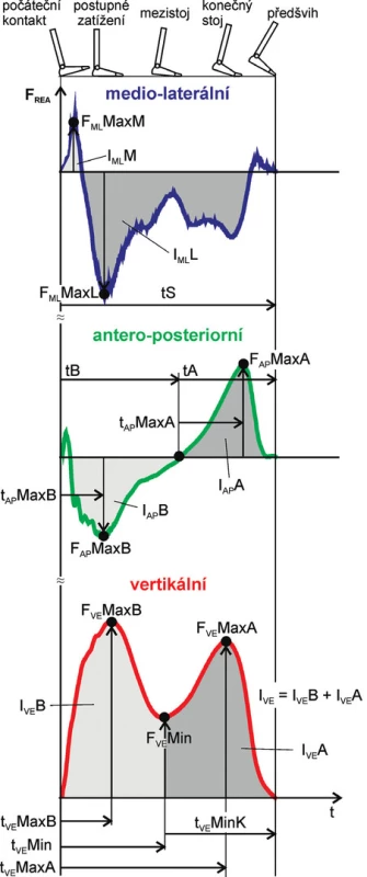 Grafické znázornění měřených parametrů (upraveno podle Vaverka a Elfmark [37]) 
Legenda: F&lt;sub&gt;REA&lt;/sub&gt; – reakční síla podložky; ML – medio-laterální složka; AP – antero-posteriorní složka; VE – vertikální složka; Časové parametry: tS – čas stojné fáze; tB/tA – čas brzdící/akcelerační fáze; t&lt;sub&gt;AP&lt;/sub&gt;MaxB – čas maximální síly v brzdící fázi; t&lt;sub&gt;AP&lt;/sub&gt;MaxA – čas od počátku akcelerační fáze do okamžiku maximální síly v akcelerační fázi; t&lt;sub&gt;VE&lt;/sub&gt;MaxB/t&lt;sub&gt;VE&lt;/sub&gt;MaxA – čas dosažení maximální síly v brzdící/akcelerační fázi; t&lt;sub&gt;VE&lt;/sub&gt;Min – čas minima síly v mezistoji a konečném stoji; t&lt;sub&gt;VE&lt;/sub&gt;MinK – čas od lokálního minima síly do konce stojné fáze; Reakční síla a impulsy síly: F&lt;sub&gt;ML&lt;/sub&gt;MaxM/F&lt;sub&gt;ML&lt;/sub&gt;MaxL – maximální síla mediální/laterální; F&lt;sub&gt;AP&lt;/sub&gt;MaxB/F&lt;sub&gt;AP&lt;/sub&gt;MaxA, F&lt;sub&gt;VE&lt;/sub&gt;MaxB/F&lt;sub&gt;VE&lt;/sub&gt;MaxA – maximální síla v brzdící/akcelerační fázi v AP a VE; F&lt;sub&gt;VE&lt;/sub&gt;Min – minimum síly v mezistoji a konečném stoji; I&lt;sub&gt;ML&lt;/sub&gt;M/I&lt;sub&gt;ML&lt;/sub&gt;L – silový impuls mediální/laterální; I&lt;sub&gt;AP&lt;/sub&gt;B/I&lt;sub&gt;AP&lt;/sub&gt;A, I&lt;sub&gt;VE&lt;/sub&gt;B/I&lt;sub&gt;VE&lt;/sub&gt;A – silový impuls v brzdící/ akcelerační fázi v AP a VE; IVE – celkový silový impuls.