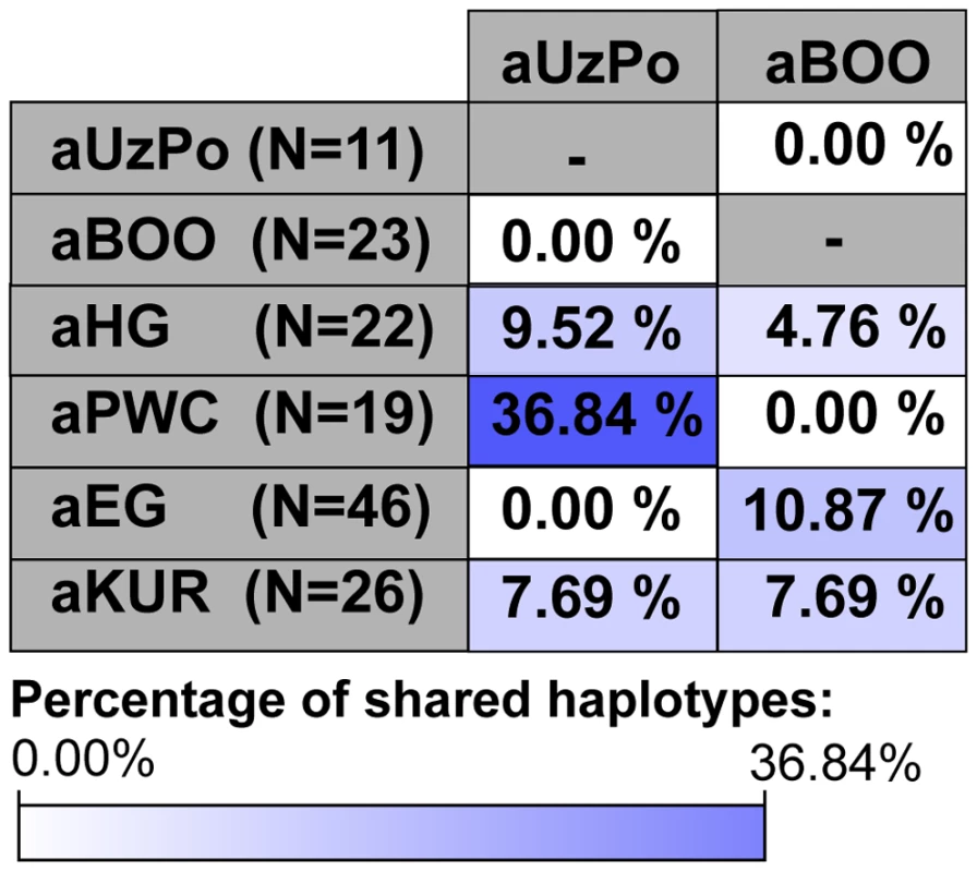 Percentages of haplotypes from aUzPo and aBOO matched in selected ancient Eurasian populations.