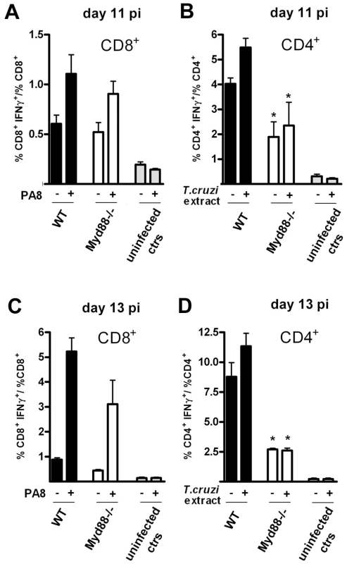 Preserved IFN-γ production by CD8<sup>+</sup> T cells but impaired IFN-γ CD4<sup>+</sup> response in <i>Myd88<sup>−/−</sup></i> mice at days 11 and 13 pi.