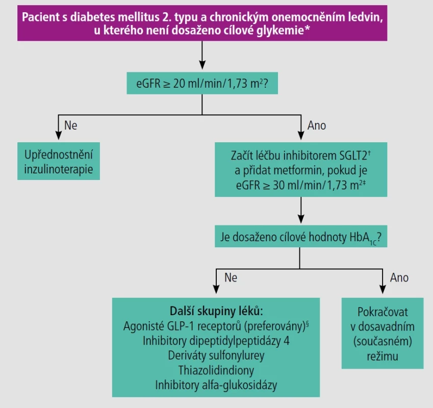 Léčba hyperglykemie u pacientů s chronickým onemocněním ledvin a diabetes mellitus.