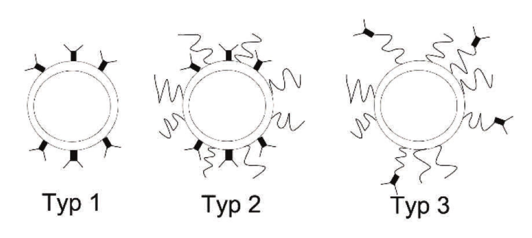 Typy imunoliposomů (převzato a upraveno z [29].