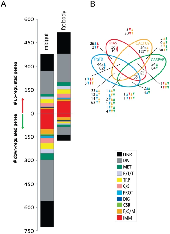 Comparative analysis <i>P. gallinaceum</i> midgut- and fat body- responsive transcriptomes.