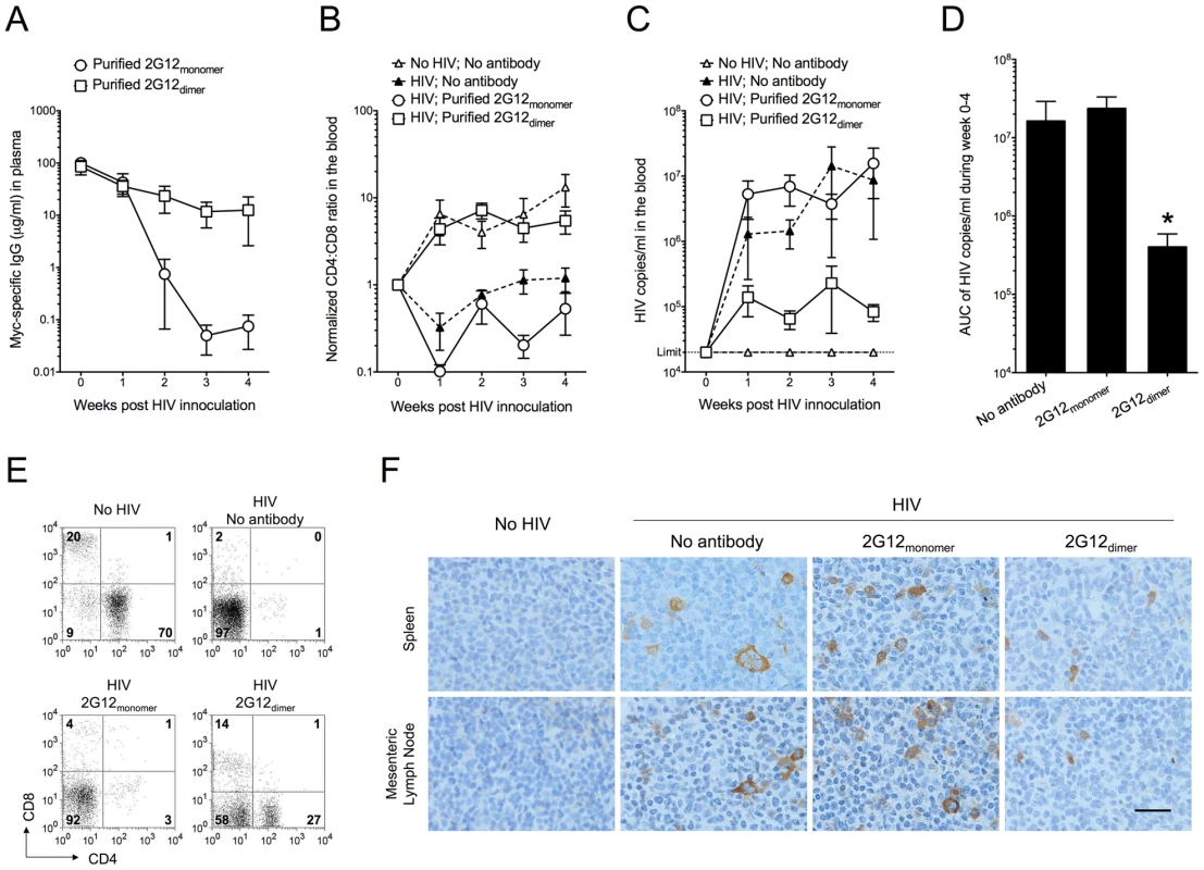 Protection against HIV-1 infection in humanized mice by passively transferred 2G12 dimer.