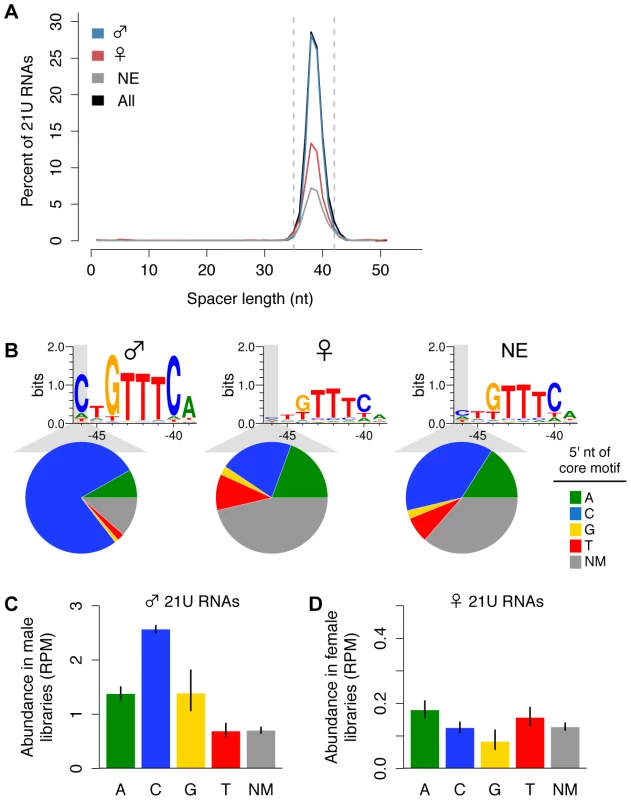 Variation in the core upstream motif correlates with 21U RNA germline enrichment.