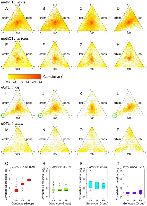 Comparison of QTLs for CpG methylation and mRNA expression across tissue regions.