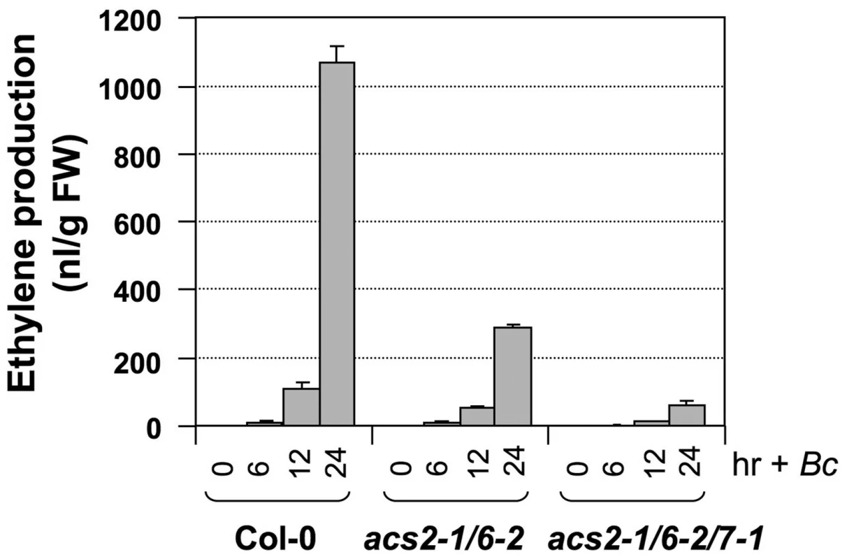 <i>ACS7</i> also contributes to <i>B. cinerea</i>-induced ethylene production in Arabidopsis.