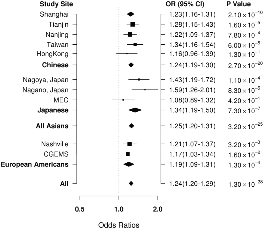 Per-allele OR for rs4784227 in association with breast cancer risk by study and ethnic groups.