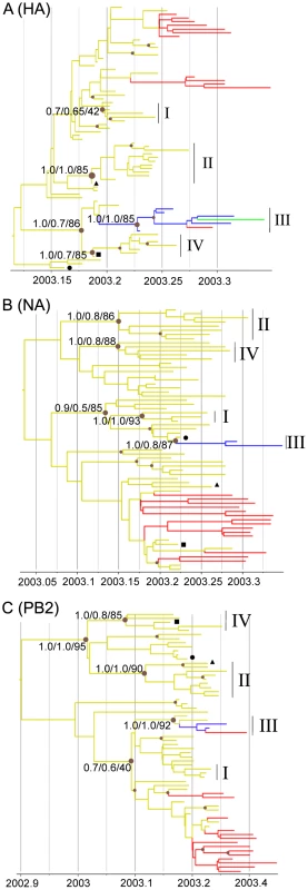 Phylogenetic trees of H7N7 viruses.