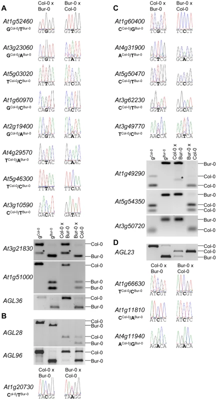 Allele-Specific Expression Analysis of MEGs and PEGs.