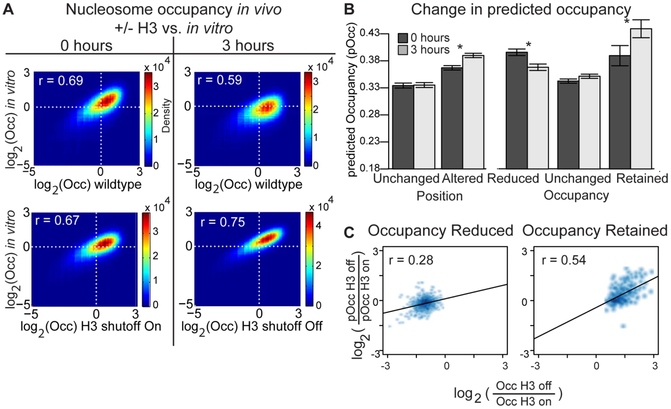DNA sequence contributes to nucleosome occupancy changes following H3 depletion.