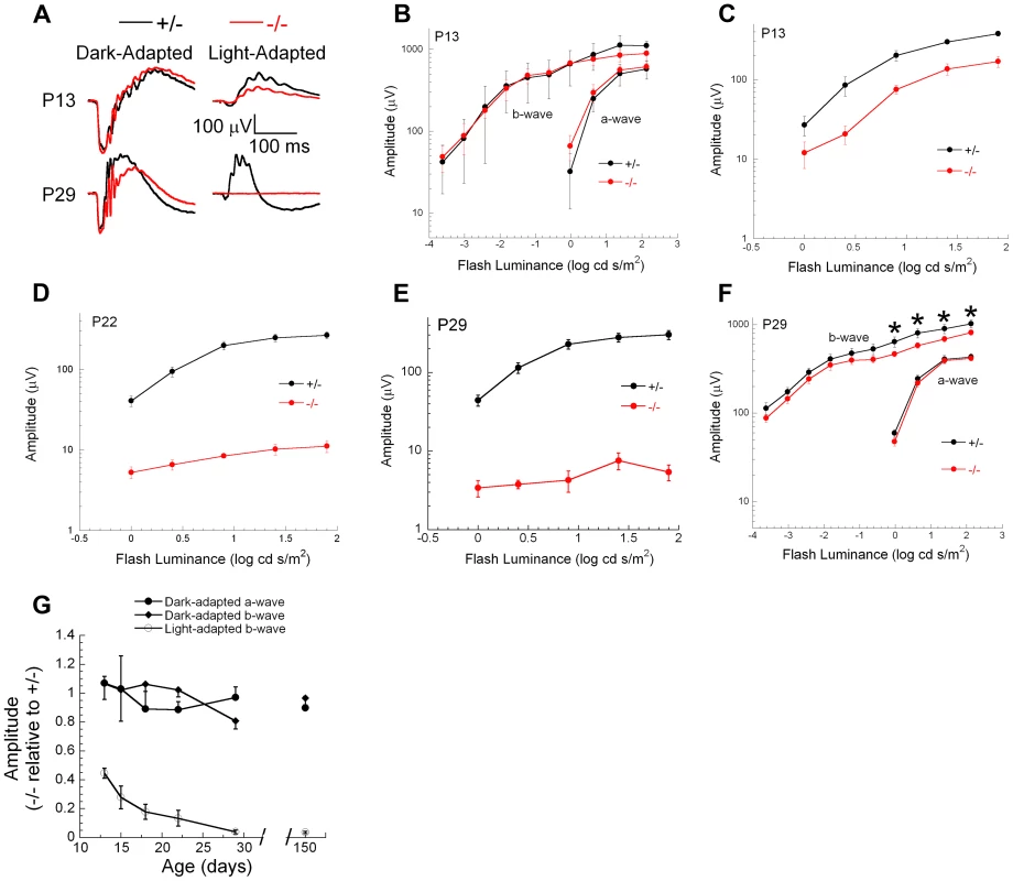 Electrophysiological responses of cones and rod photoreceptors upon ablation of <i>Ranbp2</i> in cones.
