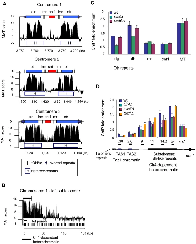 γH2A in the centromeres and telomeres is associated with Clr4-dependent heterochromatin.