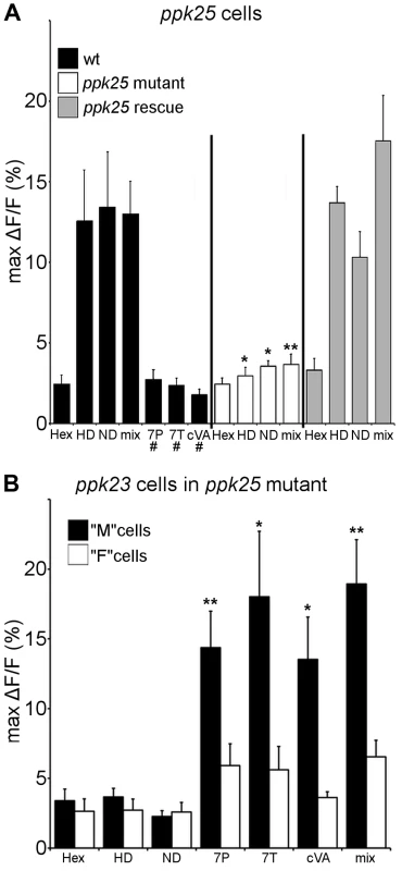 Calcium imaging reveals that <i>ppk25</i> cells respond specifically to female pheromones.