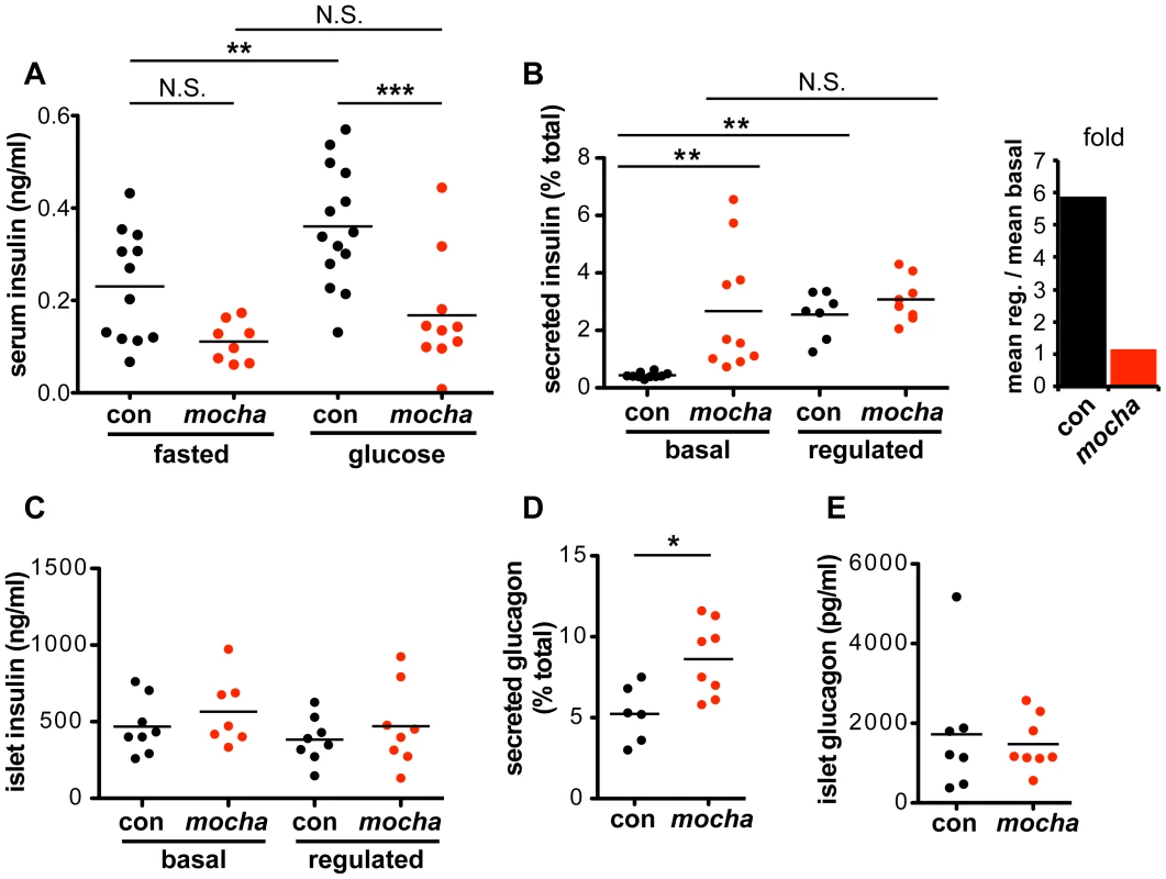 <i>mocha</i> mice show dysregulated secretion of insulin and glucagon.