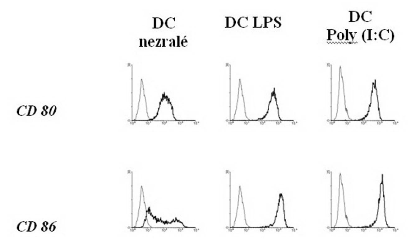 Zvýšení exprese povrchových kostimulačních molekul na DC po stimulaci LPS a Poly (I:C)
Fig. 3. Enhancement of the superficial co-stimulating molecules expression on DCs, following LPS and Poly (I:C) stimulation