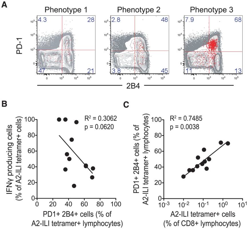 Expression of inhibitory receptors is associated with increased ILI-specific CD8 T cell frequency but impaired functionality.