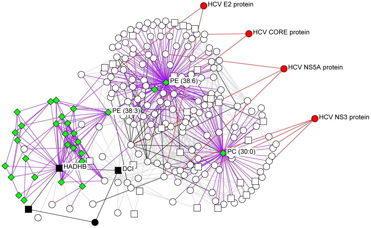 The integrated network surrounding several key bottlenecks identified by computational modeling efforts.