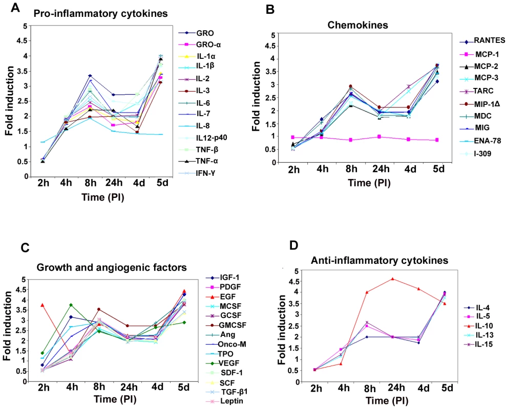 Induction of pro-inflammatory cytokines, chemokines, growth, angiogenic factors, and anti-inflammatory cytokines in HMVEC-d cells by KSHV infection.