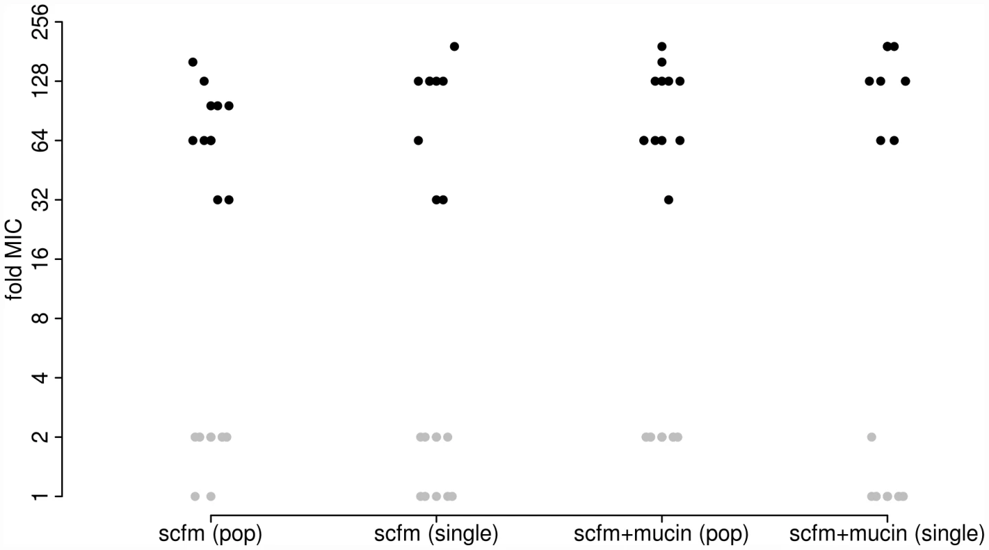 Minimum inhibitory concentration (MIC) to ciprofloxacin for each of 48 experimentally evolved populations (“pop”) or single gentoypes (“single”).