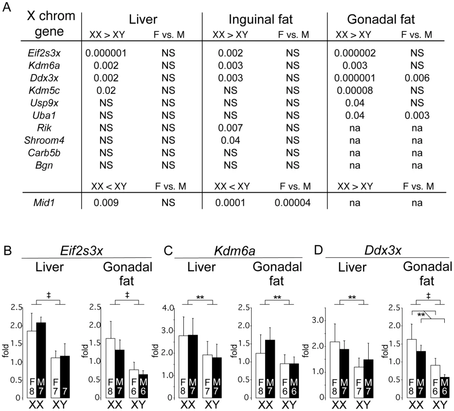 Differential gene expression in liver and fat tissues of X chromosome genes that escape inactivation.