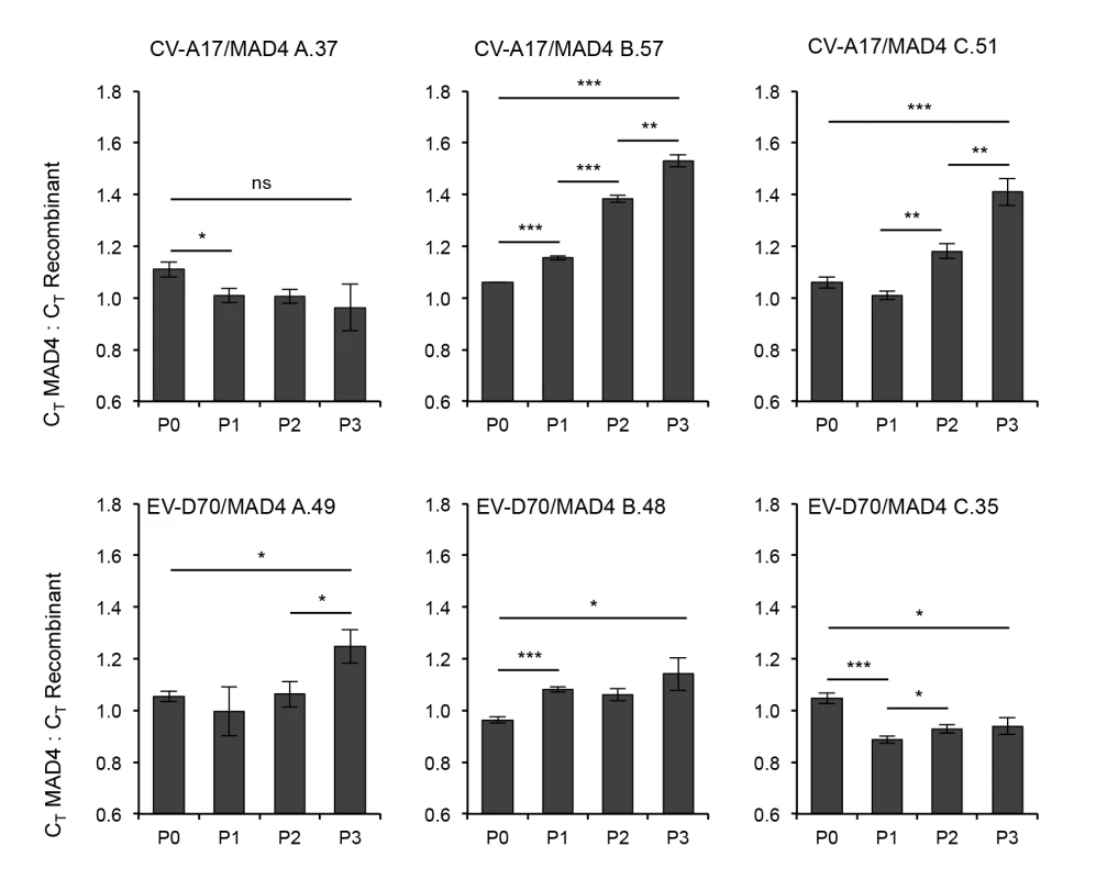 Competition assays comparing the fitness of MAD4 and selected CV-A17/MAD4 or EV-70/MAD4 homologous recombinants.