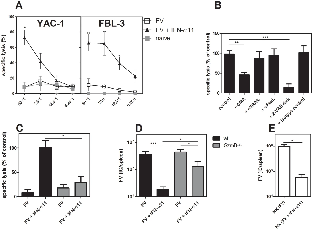 Target cell killing by NK cells from IFN-α11-treated mice.