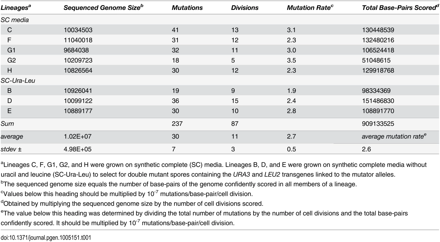 Genome sizes and mutation rates of <i>pol2-4 msh6</i>Δ sequenced lineages.