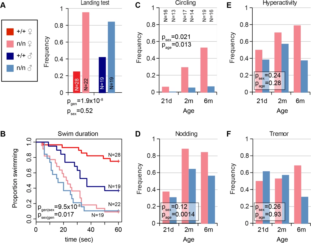 Mutant <i>nmf9</i> animals show age and sex-dependent vestibular dysfunction.