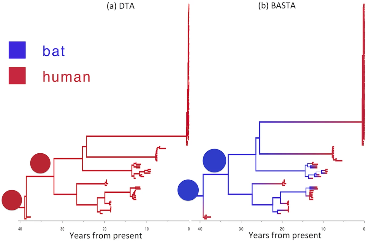 Reconstructed history of zoonosis in Ebola virus is strongly affected by the method.